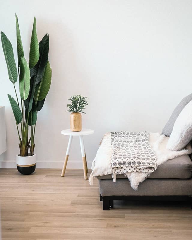 Home and Living